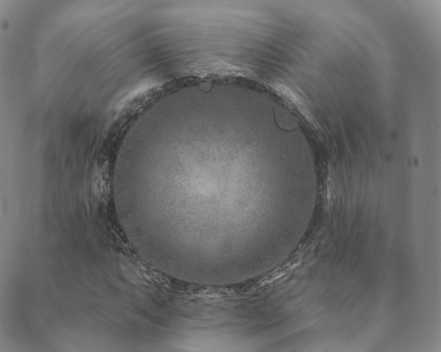 X0000089661063200706211123