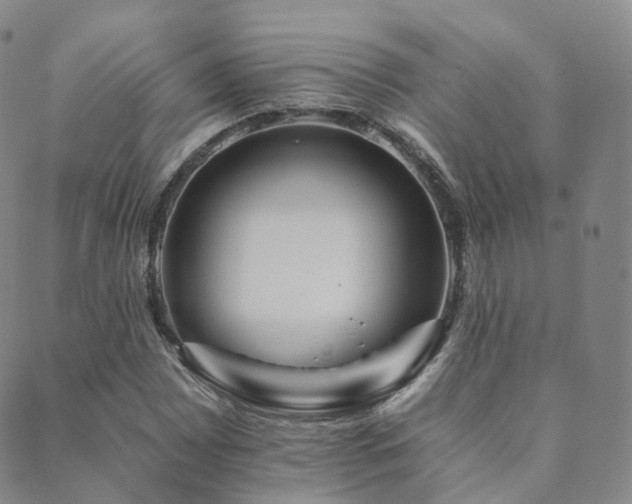 X0000089661065200706211123