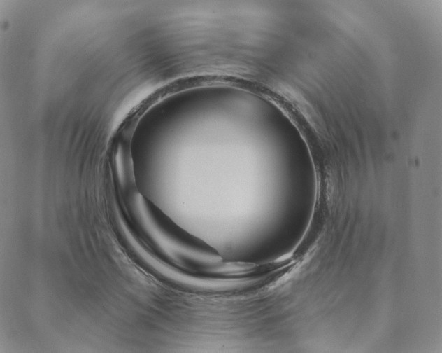 X0000089661069200706211123