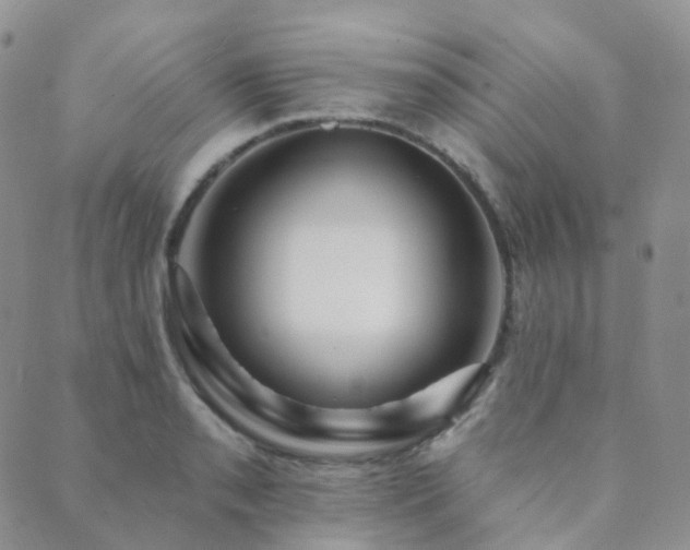X0000089661085200706211123