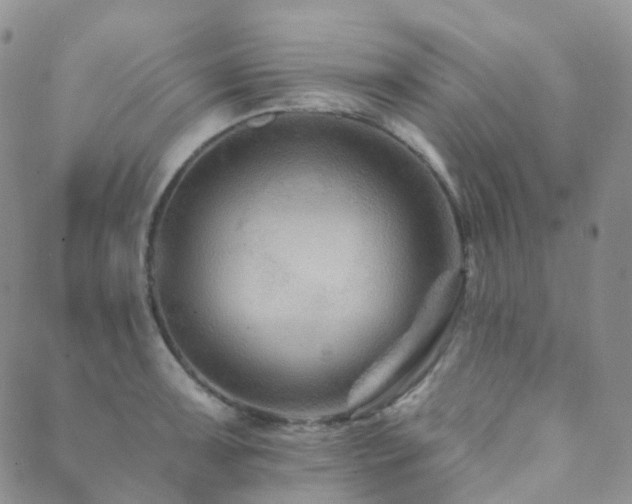 X0000089661091200706211123