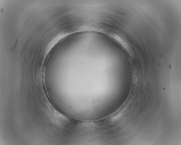 X0000089661094200706211123