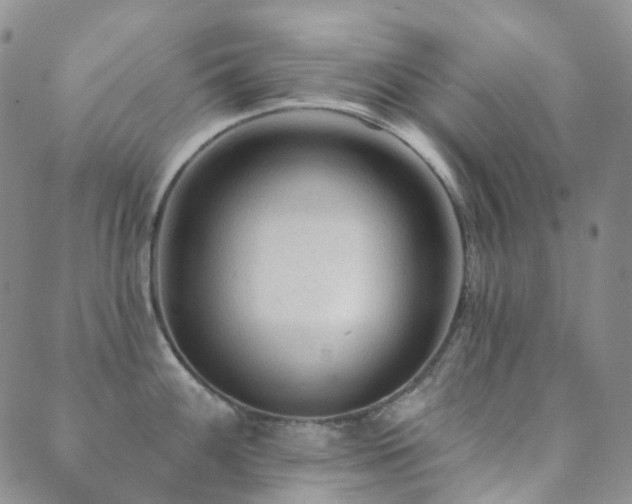 X0000089661100200706211123