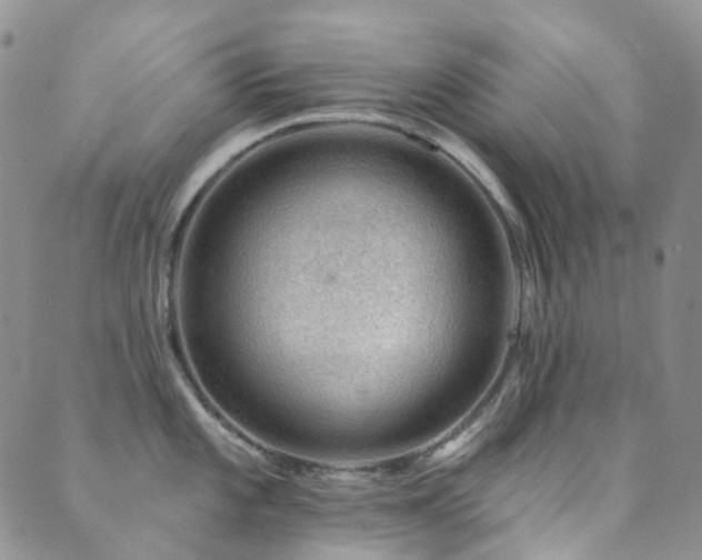 X0000089661101200706211123