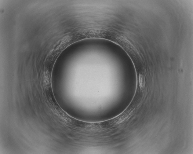X0000089661107200706211122