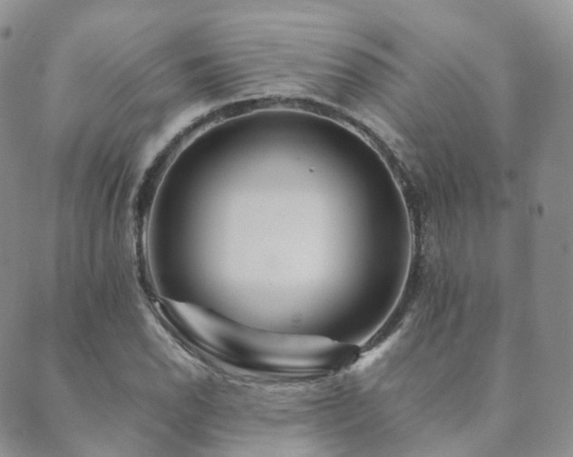 X0000089661118200706211122
