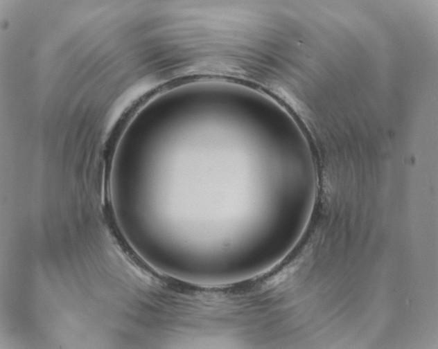 X0000089661123200706211122