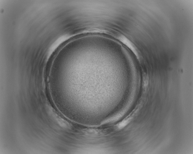 X0000089661124200706211122