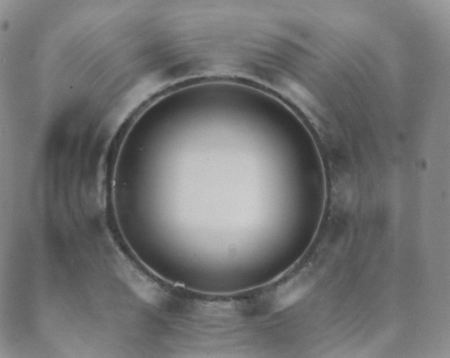 X0000089661126200706211122