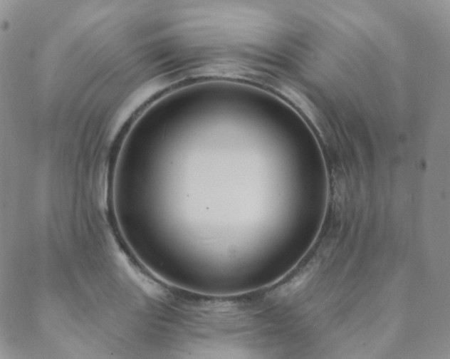 X0000089661131200706211122
