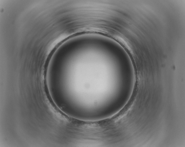 X0000089661133200706211122