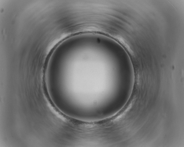 X0000089661134200706211122