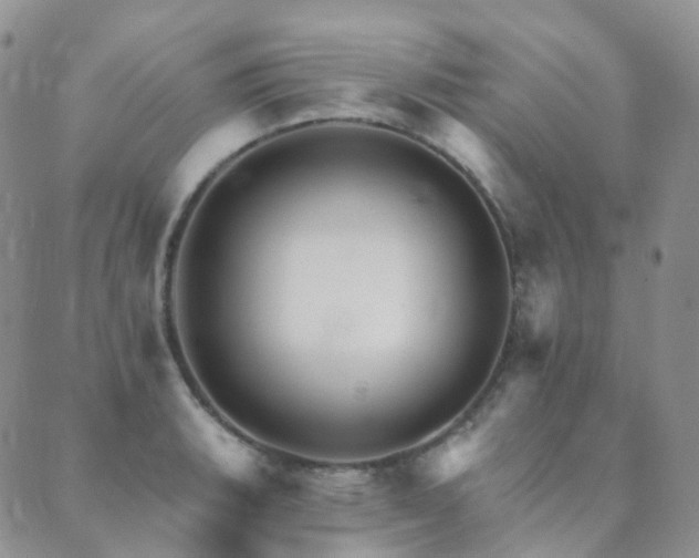 X0000089661135200706211122