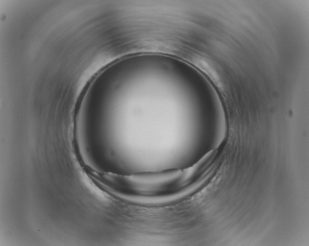 X0000089661136200706211122
