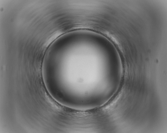 X0000089661137200706211122