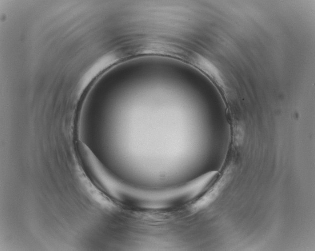 X0000089661138200706211122