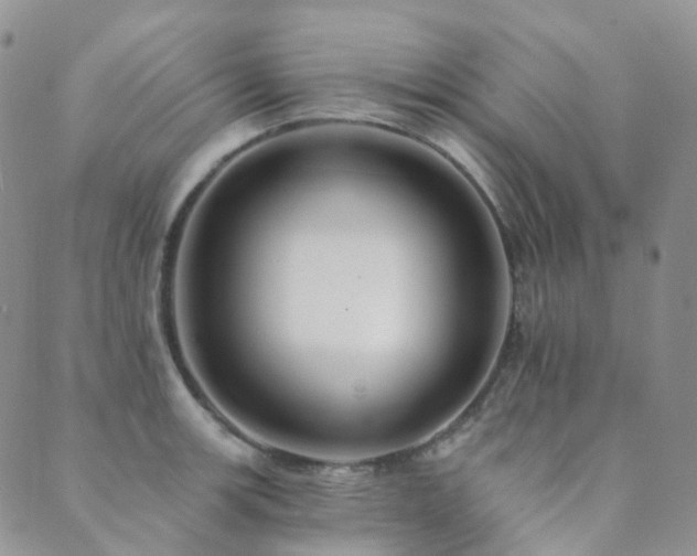 X0000089661139200706211122