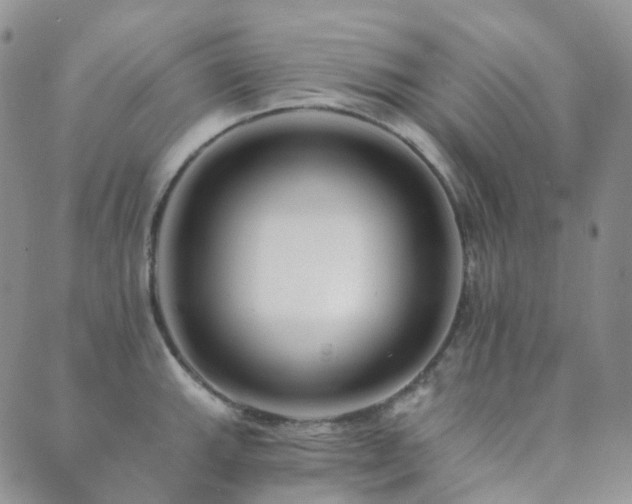 X0000089661143200706211122