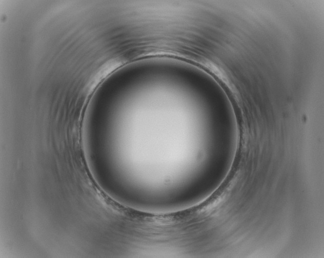 X0000089661145200706211122