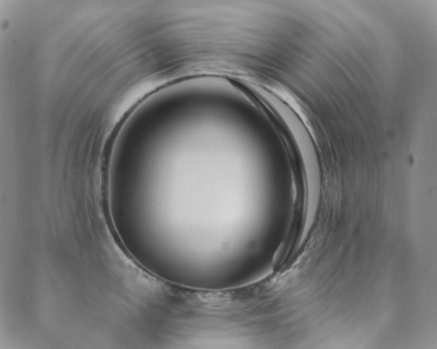 X0000089661147200706211122
