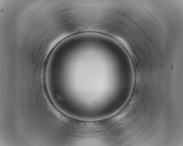 X0000089661149200706211122