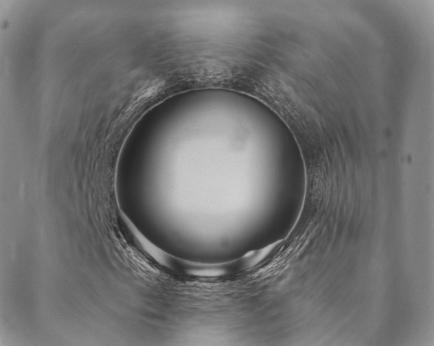 X0000089661153200706211122