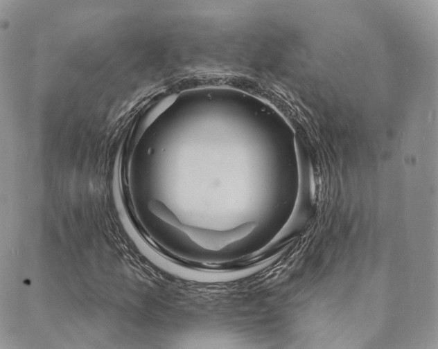 X0000089661157200706211122