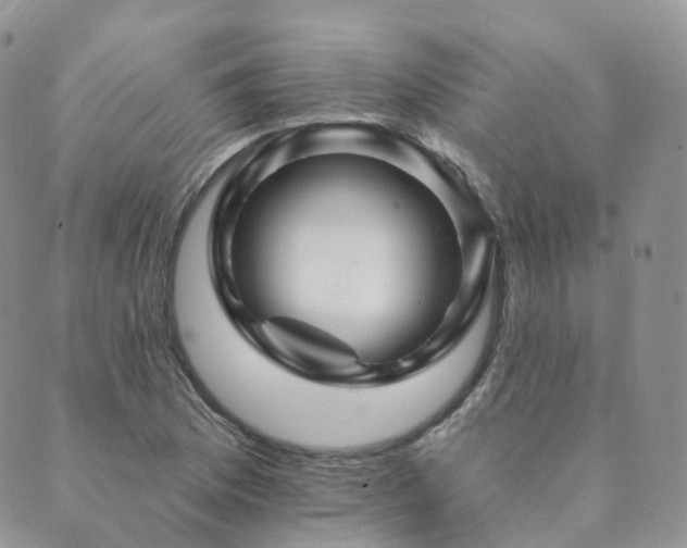 X0000089661169200706211121