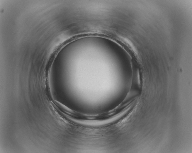 X0000089661172200706211121