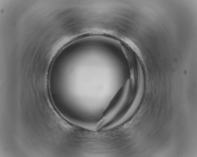 X0000089661183200706211121