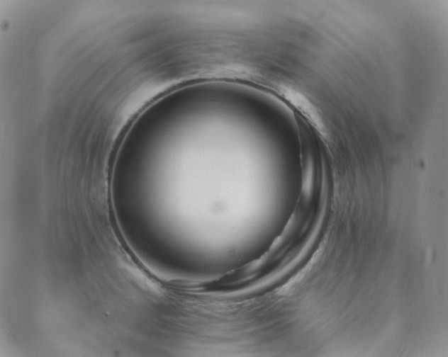 X0000089661184200706211121