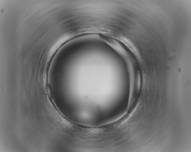 X0000089661188200706211121