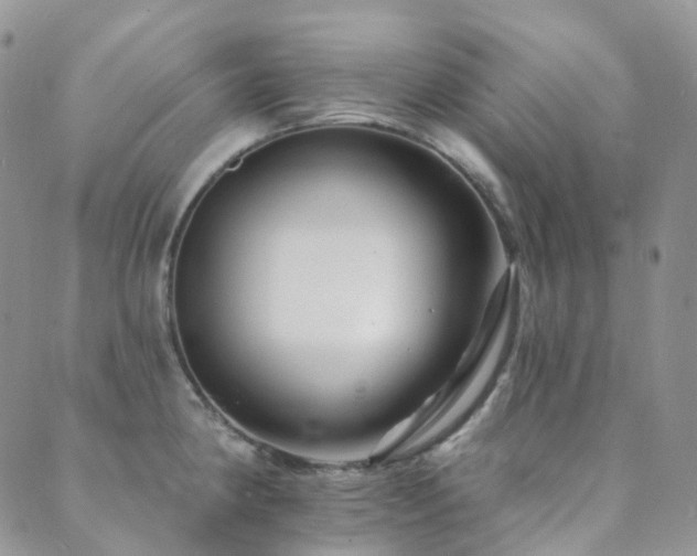X0000089661190200706211121