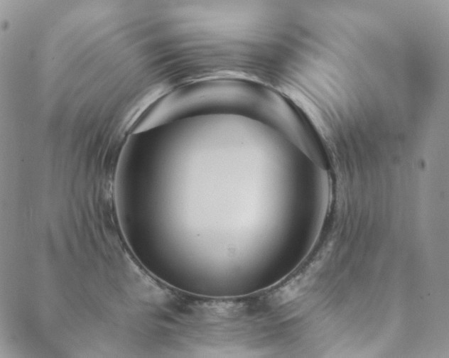 X0000089661193200706211121