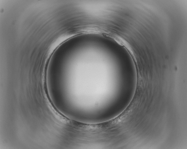 X0000089661195200706211121