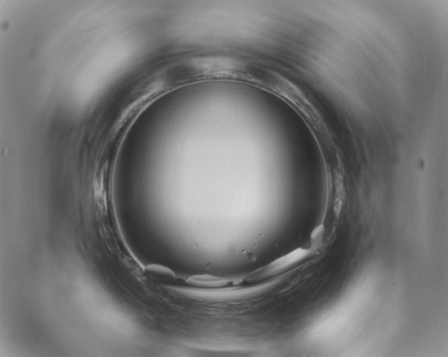 X0000089661198200706211121
