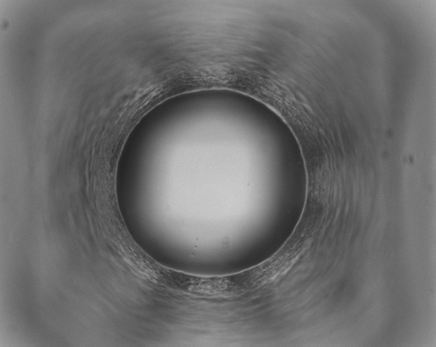 X0000089661201200706211120