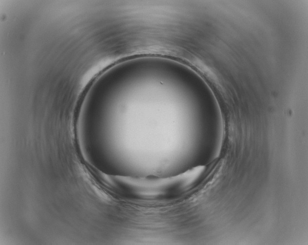 X0000089661230200706211121