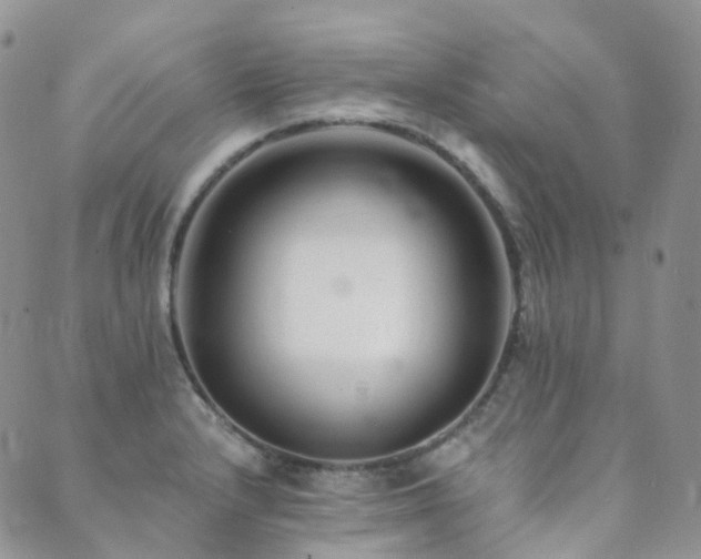 X0000089661232200706211121