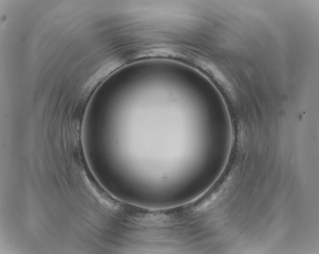 X0000089661233200706211121