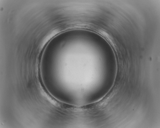 X0000089661235200706211121