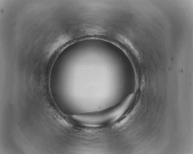 X0000089661261200706211120