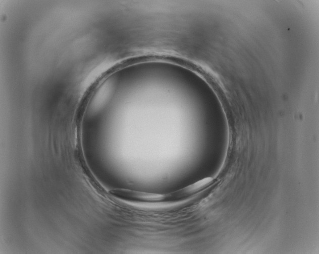 X0000089661271200706211120