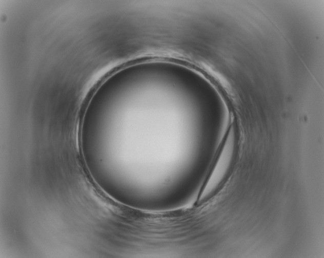 X0000089661272200706211120