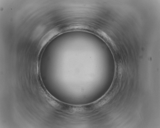X0000089661274200706211120