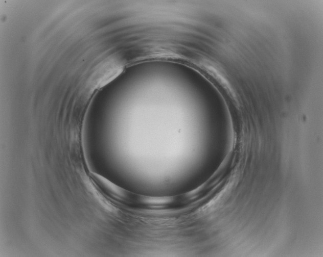 X0000089661281200706211120