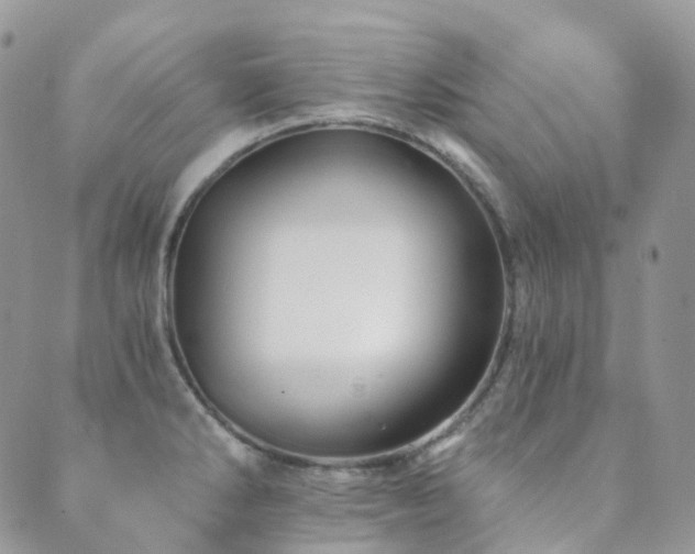 X0000089661286200706211120