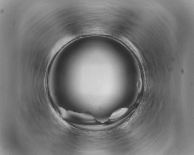 X0000089661293200706211119