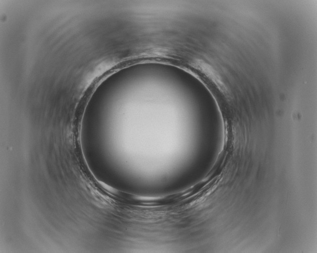X0000089661308200706211119