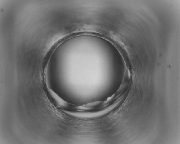 X0000089661312200706211119